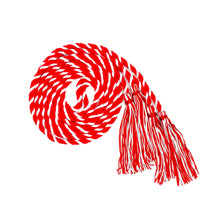 Load image into Gallery viewer, Single Intertwined Honor Cord